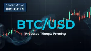 BTCUSD Elliott Wave Analysis: Cycle Wave IV Triangle Roadmap (Monthly)